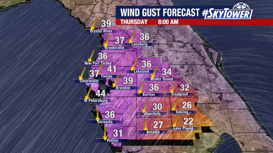 The Bay Area will likely experience tropical storm-force wind gusts toward the end of the week.