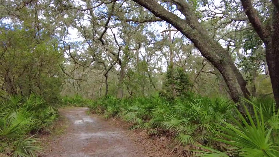 Lettuce Lake Park has a 1.25 mile paved exercise trail in addition to a boardwalk.
