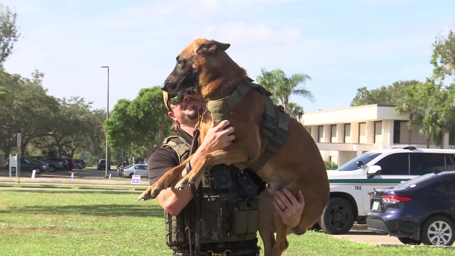 K9 Loki being held by his partner.