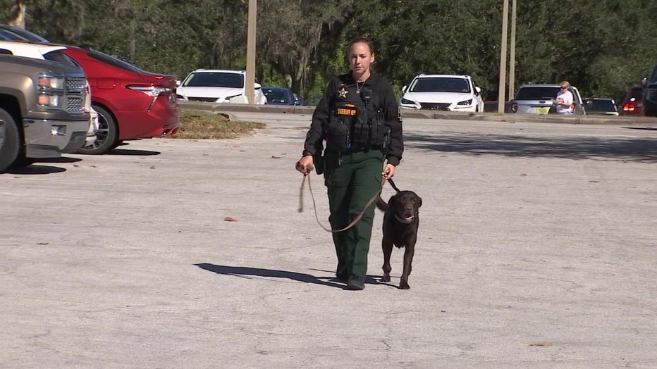 Pasco County Detective Victoria Tellier and her dog Tacoma provides therapy to veterans.