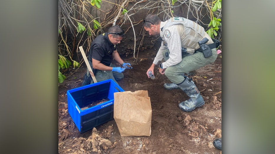 Crime scene technicians work to preserve human remains unearthed when Hurricane Nicole made landfall in Martin County, Florida.