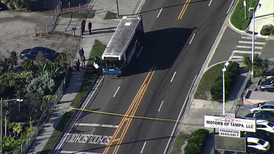 Tampa Police: Pedestrian Struck, Killed By HART Bus In Seminole Heights ...