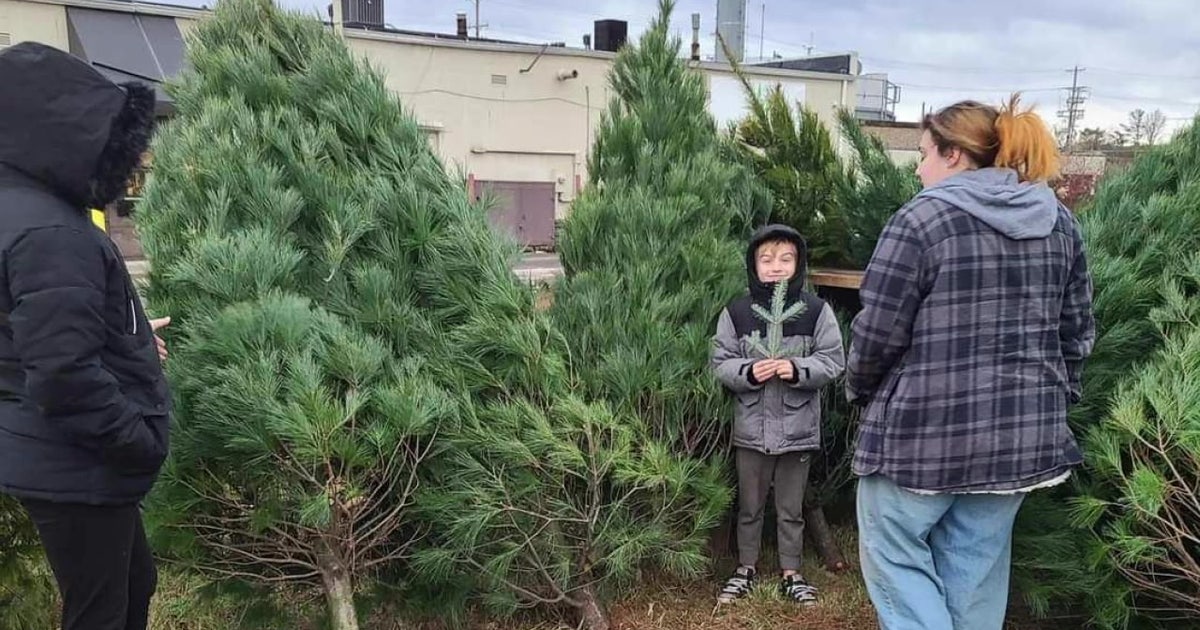 How to recycle your Christmas tree in Tampa | FOX 13 Tampa Bay