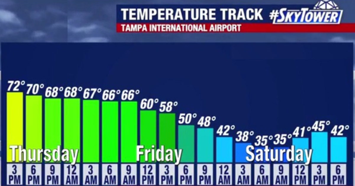 Freeze watches issued for parts of Tampa Bay area ahead of coldest ...