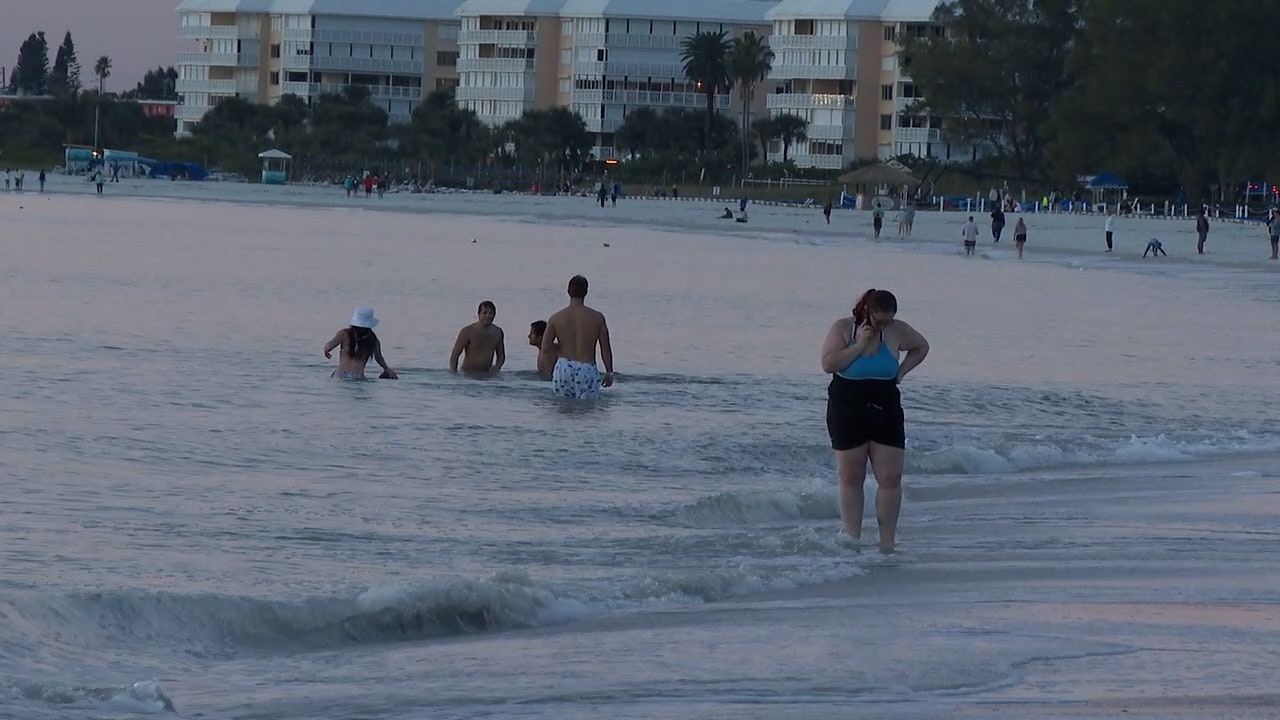 St. Petersburg, FL. USA; Members of the Rays Team wore Christmas