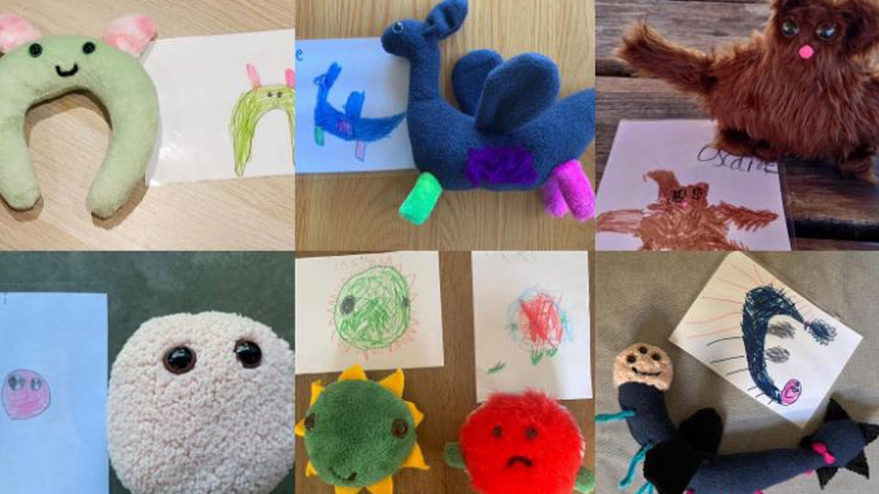 Teacher transforms students' drawings of monsters into plush toys