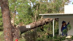 Falling trees barely miss preschoolers, boy in St. Petersburg home during EF-1 tornado