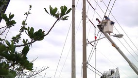 Florida homeowners, businesses to see higher electric bills in January