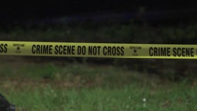 Tampa Police Department reports decrease in violent crime with guns in 2022