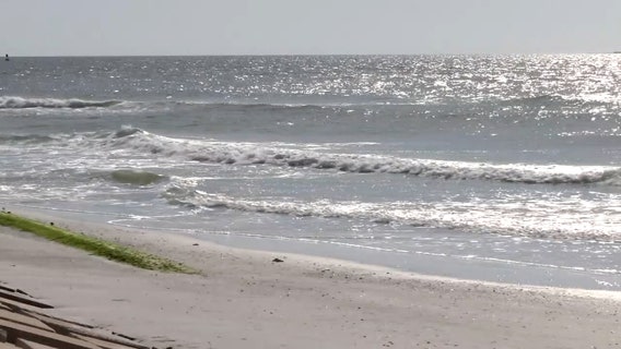 Red tide triggers respiratory warning in Pinellas, Manatee and Sarasota counties