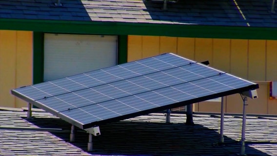 Tampa Bay Innovation Center to help startups develop climate-related solutions for big companies