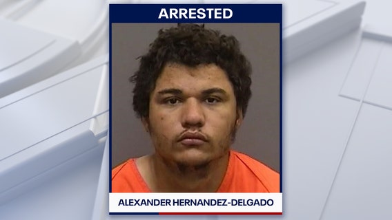 Man accused of killing dog with machete after breaking into Dover home, Hillsborough deputies say