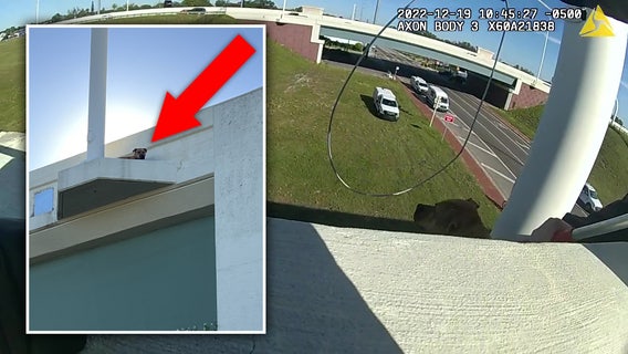 Video: Dog rescued after getting trapped on top of I-275 overpass in Hillsborough County