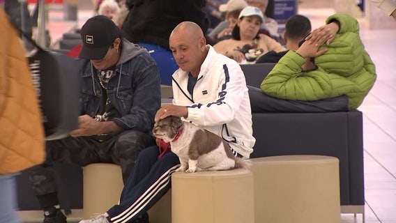 Hundreds of flights delayed, canceled in Tampa as winter weather snarls travel across the country