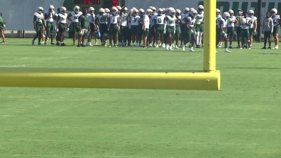 Bulls sign 16 in Golesh's first recruiting class 