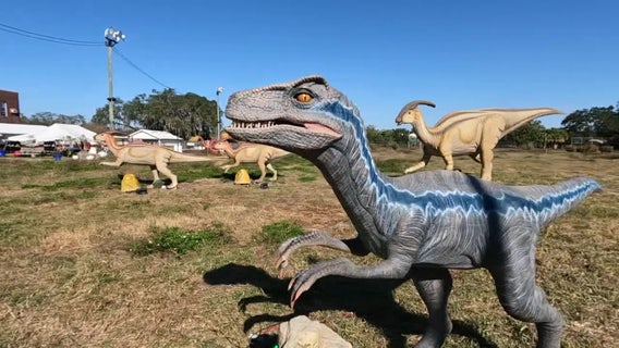 Life-sized dinosaurs and dragons display in New Port Richey helps raise money for local museum