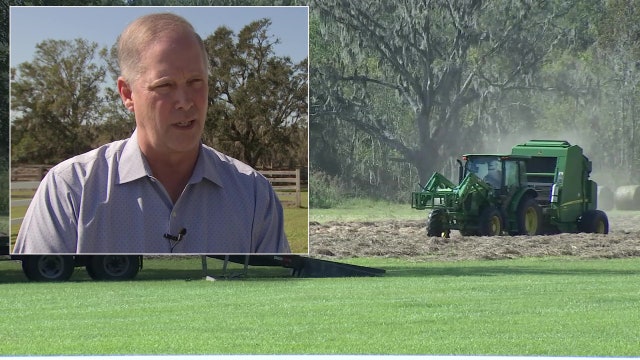 Florida’s new agriculture commissioner wants to ban foreign agricultural land sales