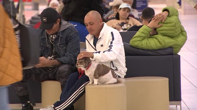 Hundreds of flights delayed, canceled in Tampa as winter weather snarls travel across the country