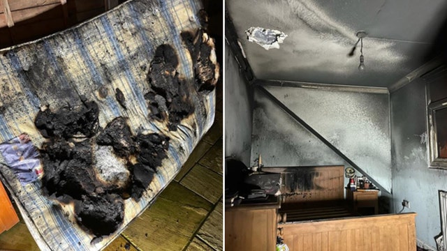 Dog turns on hairdryer, sets house on fire in England