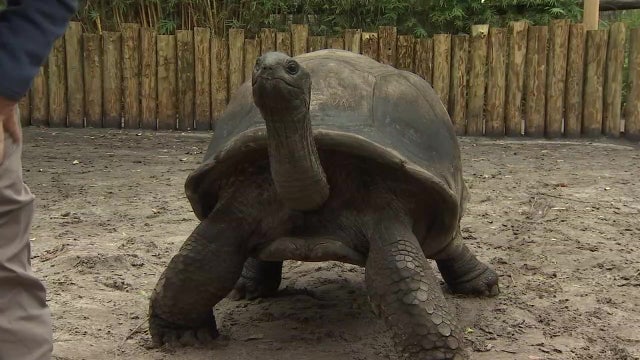 ZooTampa animals warm, bundled up for cold temperatures