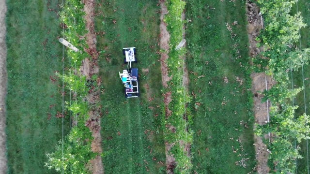 Agriculture industry looks to new technology to raise, harvest Florida crops