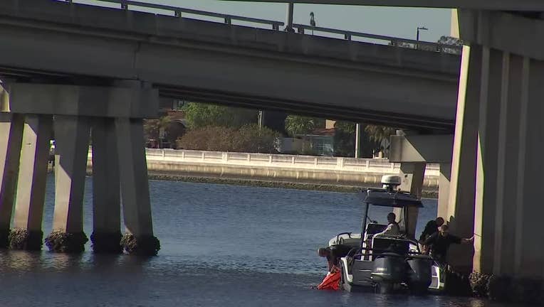 body found tampa bay davis islands