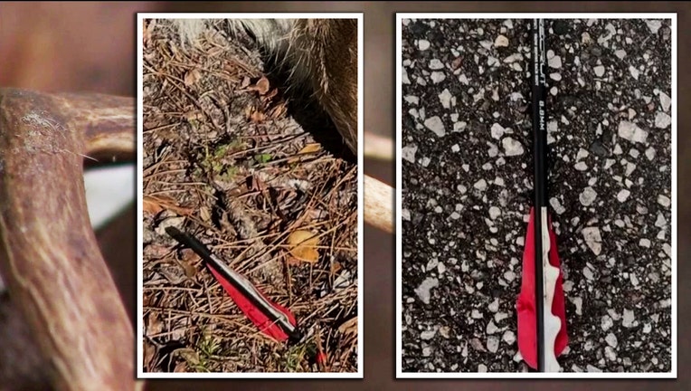 Provided photos: Arrows used to shoot deer in Palm Harbor neighborhood