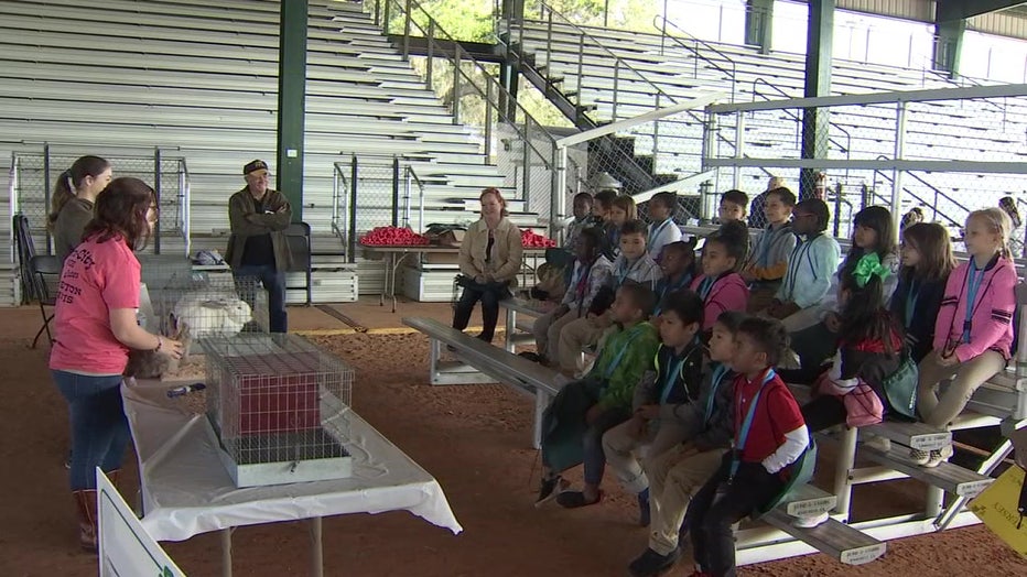 Students learn about agriculture and farming during an AgVenture program in Manatee County. 
