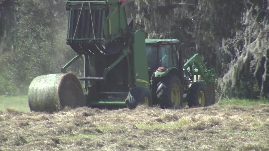 A tractor works agricultural land in Lithia. 