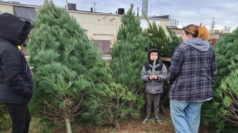 A boy stands next to Christmas trees.
