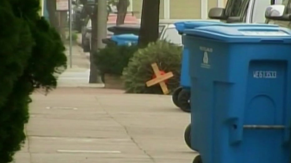 The city of Tampa has issued rules and a schedule for residents to recycle their Christmas trees.