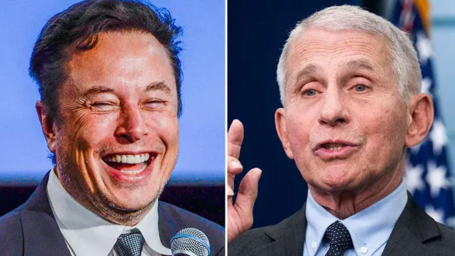 Side-by-side images of Elon Musk and Anthony Fauci