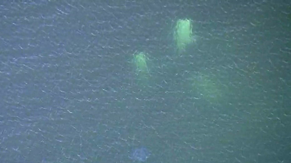 The view from SkyFOX shows the plane wreckage beneath the surface.