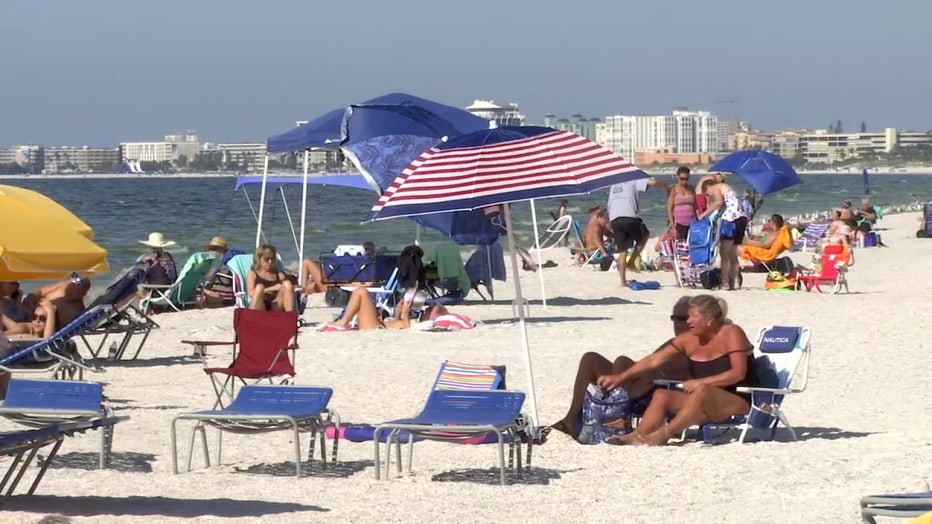 Pinellas County ups red tide response with high concentrations found on 