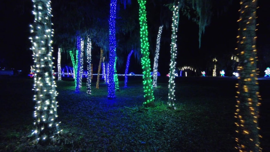 landscape lighting hillsborough county