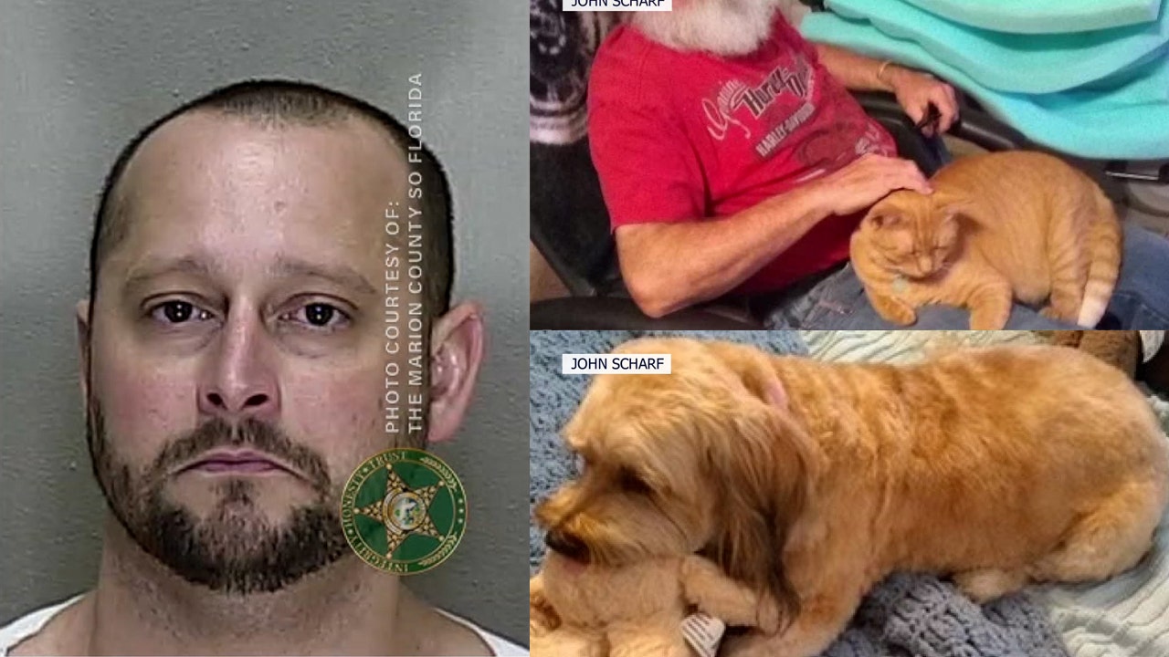 Dunnellon man arrested for poisoning cats and dogs, sheriff says
