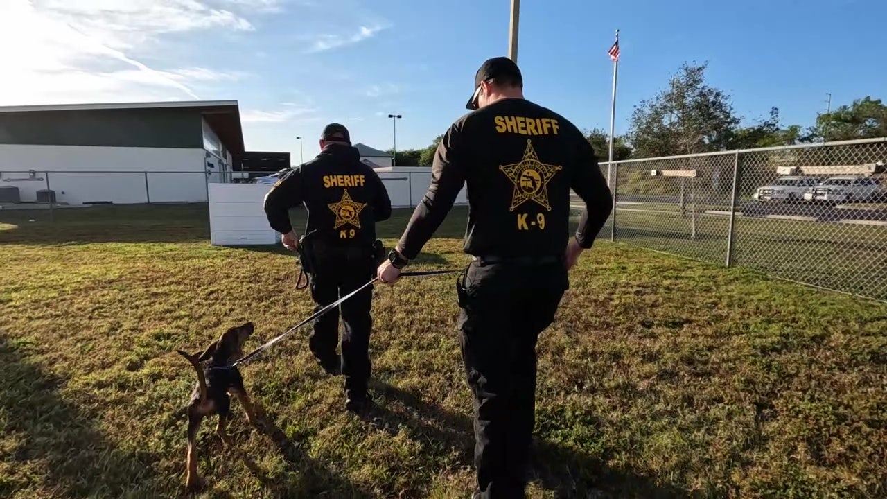 Pasco county sale sheriff k9