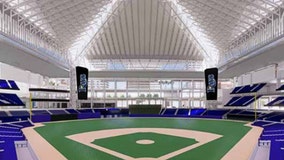 St. Pete Chamber of Commerce endorses Tropicana Field proposal from Rays, Hines