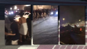 14 arrested in connection to illegal street racing over Gasparilla weekend