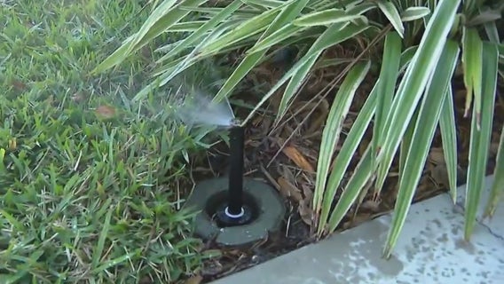 St. Pete's Sensible Sprinkling Program is helping people conserve water while saving money