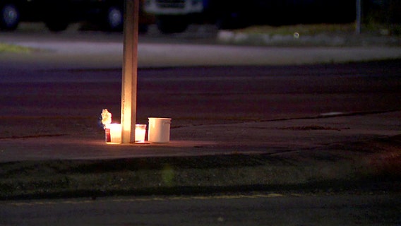 Mother, 2 kids severely injured after they 'darted' into path of SUV on Lakeland road, police say