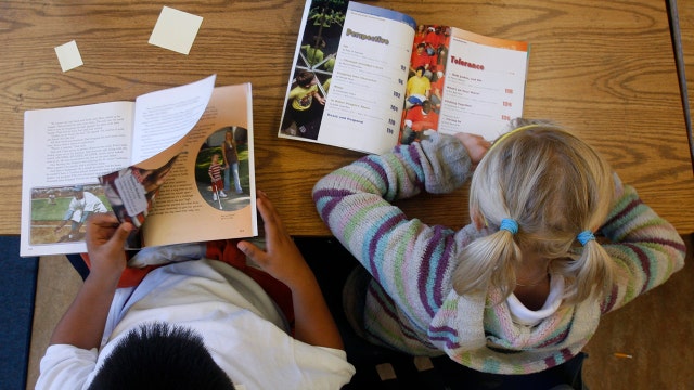 Library staff at Florida schools to undergo training related to 'questionable and inappropriate' books