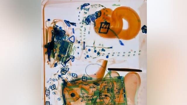 TSA: Traveler tries to sneak four-foot ‘emotional support’ snake through security at Tampa airport