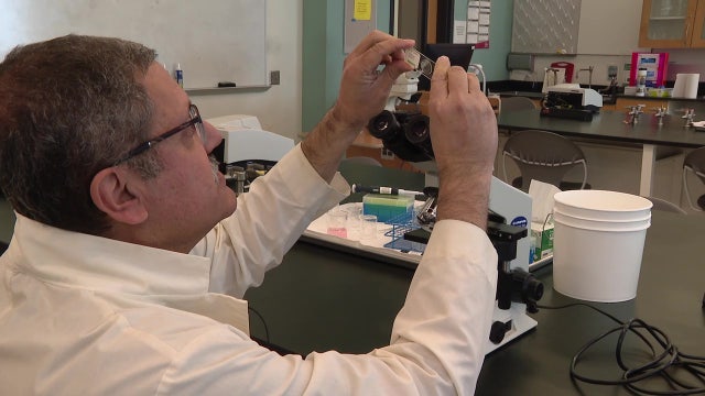 Could the ‘Last of Us’ really happen? Here’s what's behind zombie fungus