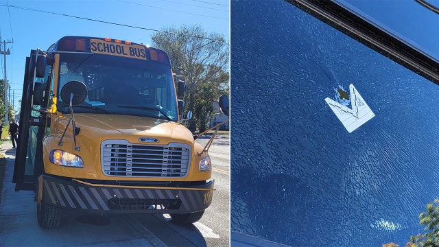 Young Bradenton suspects arrested for shooting BB guns at Manatee County school buses, deputies say