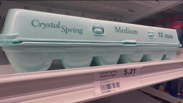 Florida ranks as second most-expensive state to buy a dozen of eggs