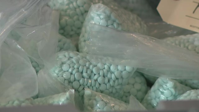 Mothers across Tampa Bay tackle fentanyl crisis: 'Somebody is making a ton of money off of killing our kids'