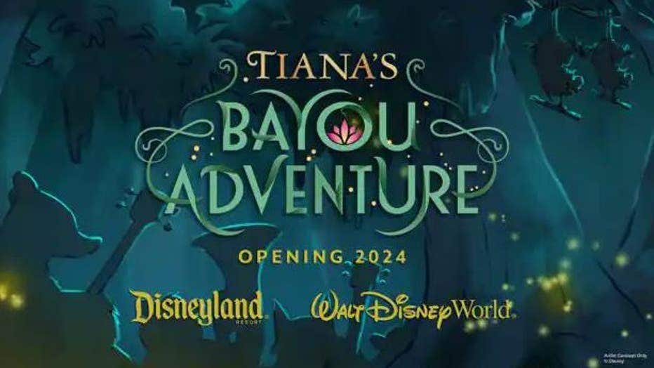 73256fe3-76caf20e-tiana-bayou-adventure.jpg
