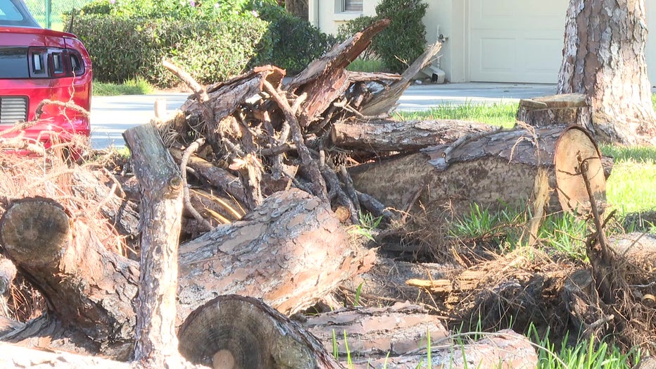 A pile of debris sits outside Lori Melton's Sarasota home.