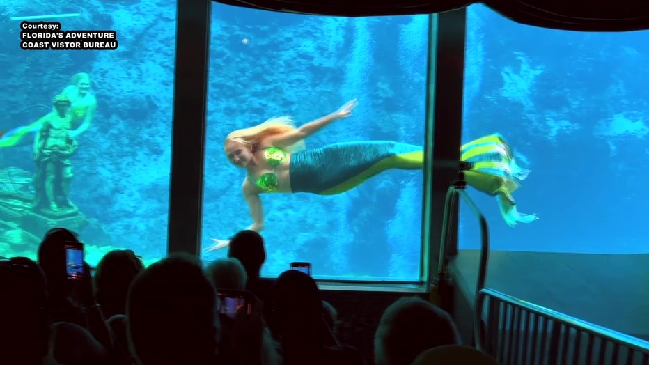 The mermaids perform in a first-magnitude spring with a 400-seat theater embedded into the spring. 